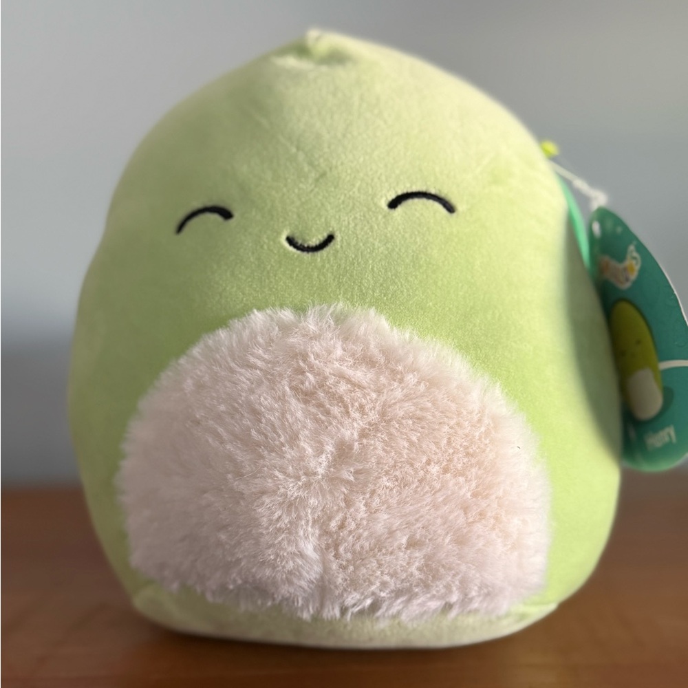 Squish melon, Henry the turtle 8 inches tall smoke free home